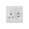 Single Electrical Plug + 2USB Ports