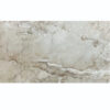 Tile Embelia Brown Polished Porcelain 600x1200mm