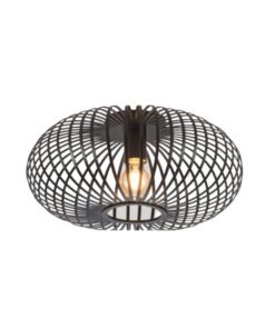 Ceiling Light 6064 Dome