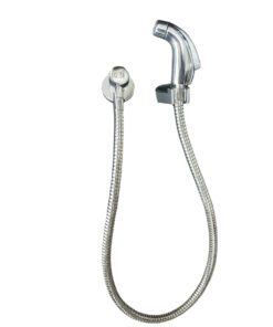 Trigger Spray Chrome
