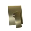 Capri Shower Mixer Concealed - Brushed Brass