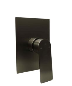 Capri Shower Mixer Concealed - Gun Metal
