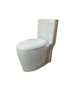 Toilet 1 Piece (P) Troy